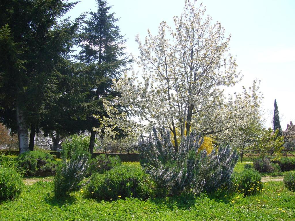 Agriturismo San Giacomo Pitigliano Dış mekan fotoğraf