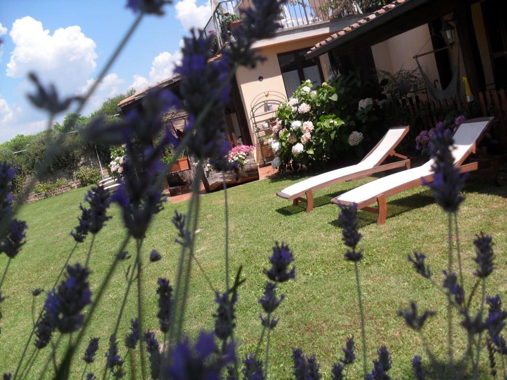 Agriturismo San Giacomo Pitigliano Oda fotoğraf