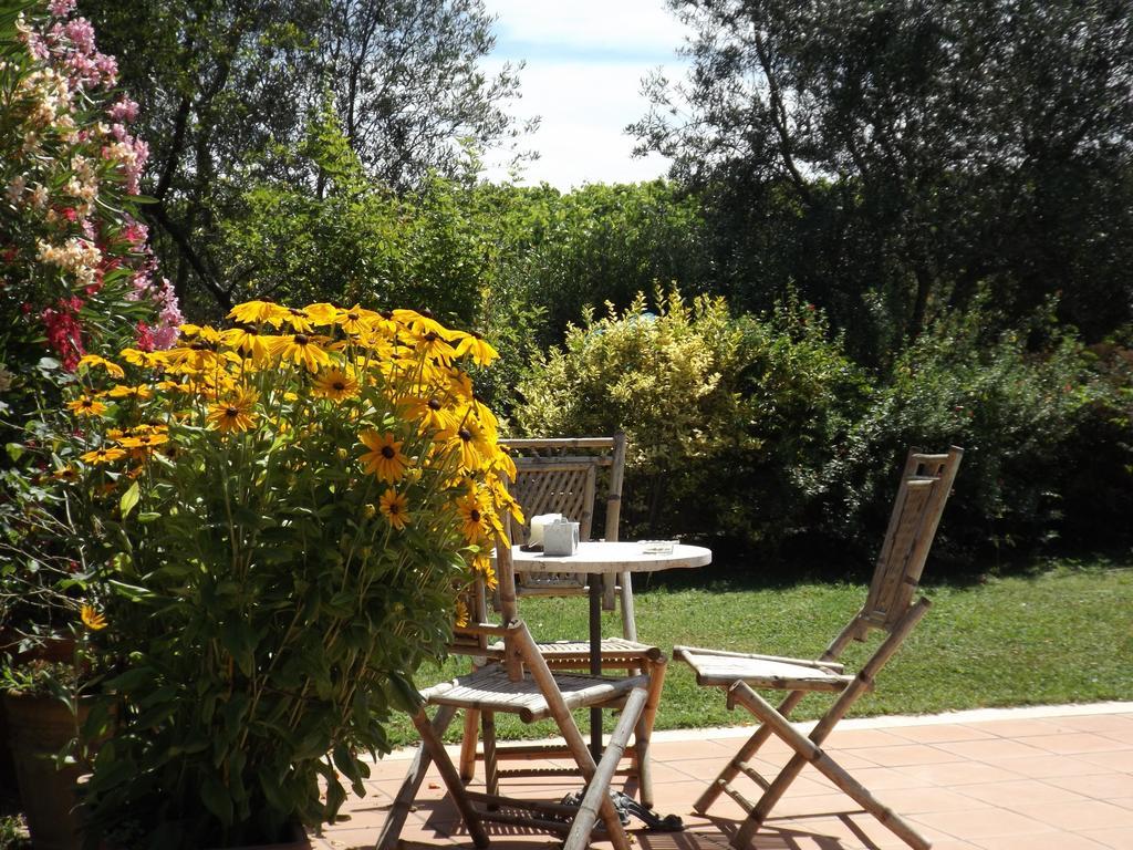 Agriturismo San Giacomo Pitigliano Oda fotoğraf
