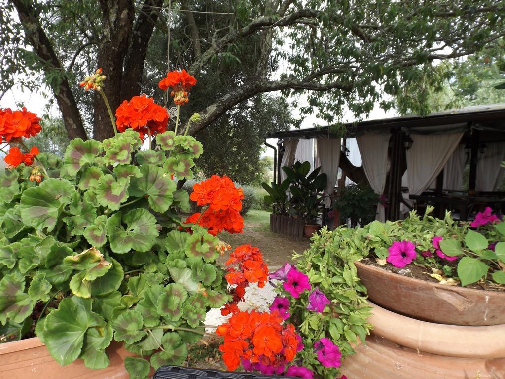 Agriturismo San Giacomo Pitigliano Oda fotoğraf